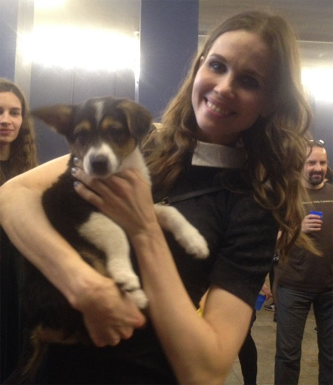 Наталья Лесниковская занялась устройством жизни бездомных животных