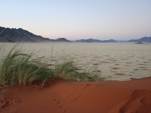 Нина Шацкая: с какой страны начать знакомство с Африкой