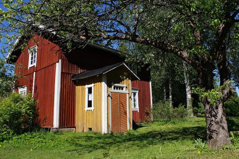 4 места на участке, которые стоит проверить после зимы