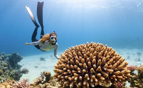 Лучшие места, где можно заняться дайвингом в ноябре