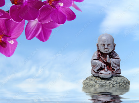 Орхидеи для карьеры, пионы для любви, лилии для богатства: цветы для дома по фэн-шуй