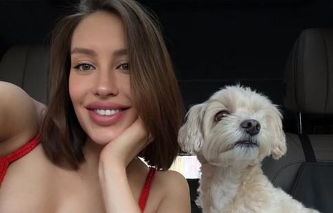 Невеста Тимати Валентина Иванова рассказала о состоянии собаки Киви, перенесшей операцию