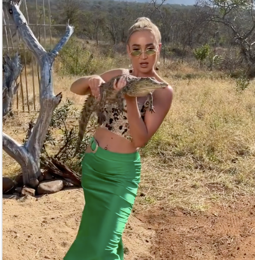 Бузова с крокодилом, Собчак в бикини, Толкалина с торшером: яркие образы выходных